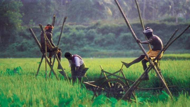 Kuttanad