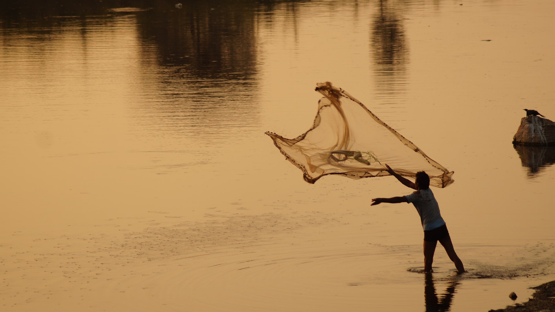 Reduce Overfishing